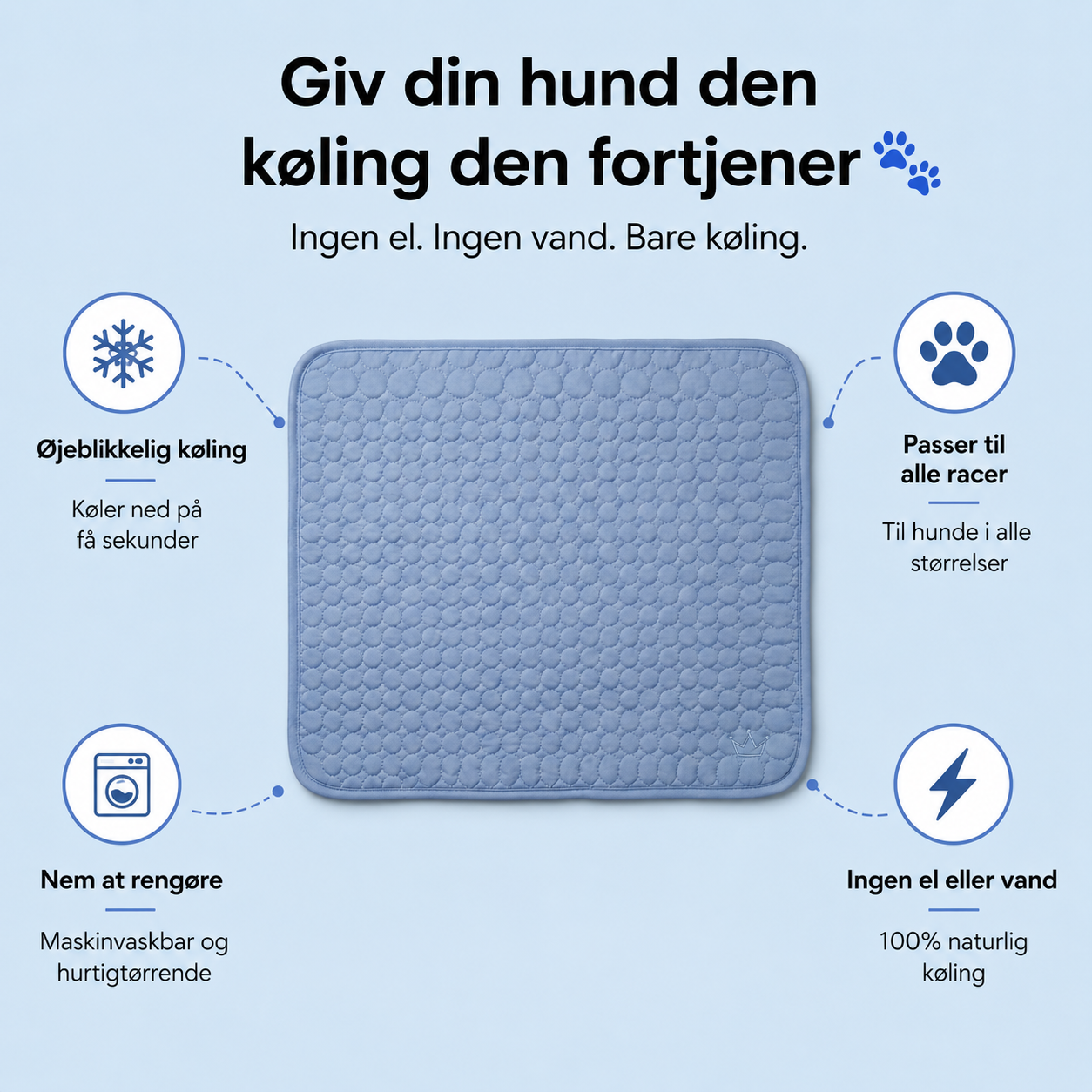 Frispaw™ | Cooling Måtte 2 for 1