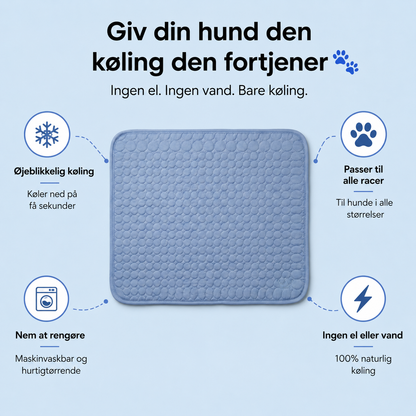 Frispaw™ | Cooling Måtte 2 for 1