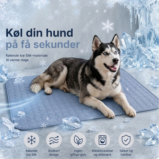 Frispaw™ | Cooling Måtte
