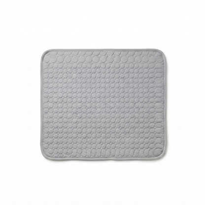 Frispaw™ | Cooling Måtte 2 for 1